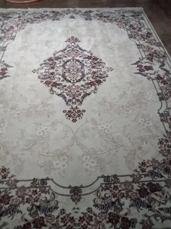 قالی شویی|خدمات نظافت|تربت جام, کشتارگاه|دیوار