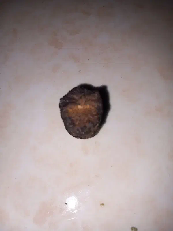 شهاب سنگ|کلکسیون اشیاء عتیقه|ایوان, |دیوار