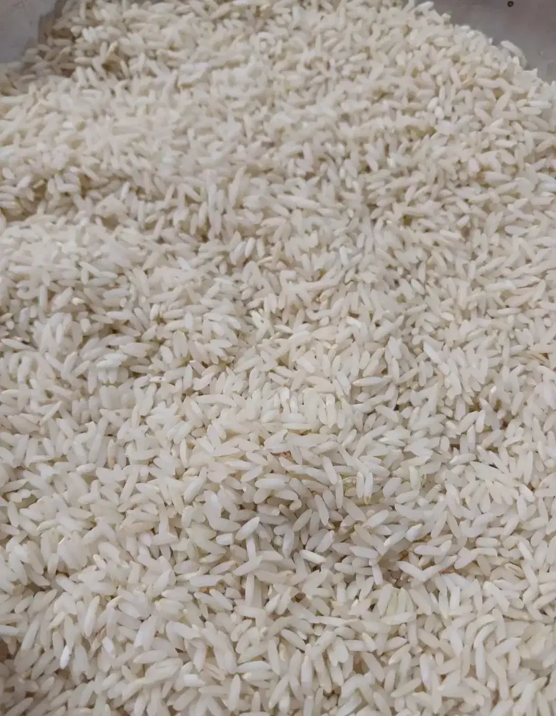 برنج محلی|خوردنی و آشامیدنی|بروجرد, |دیوار