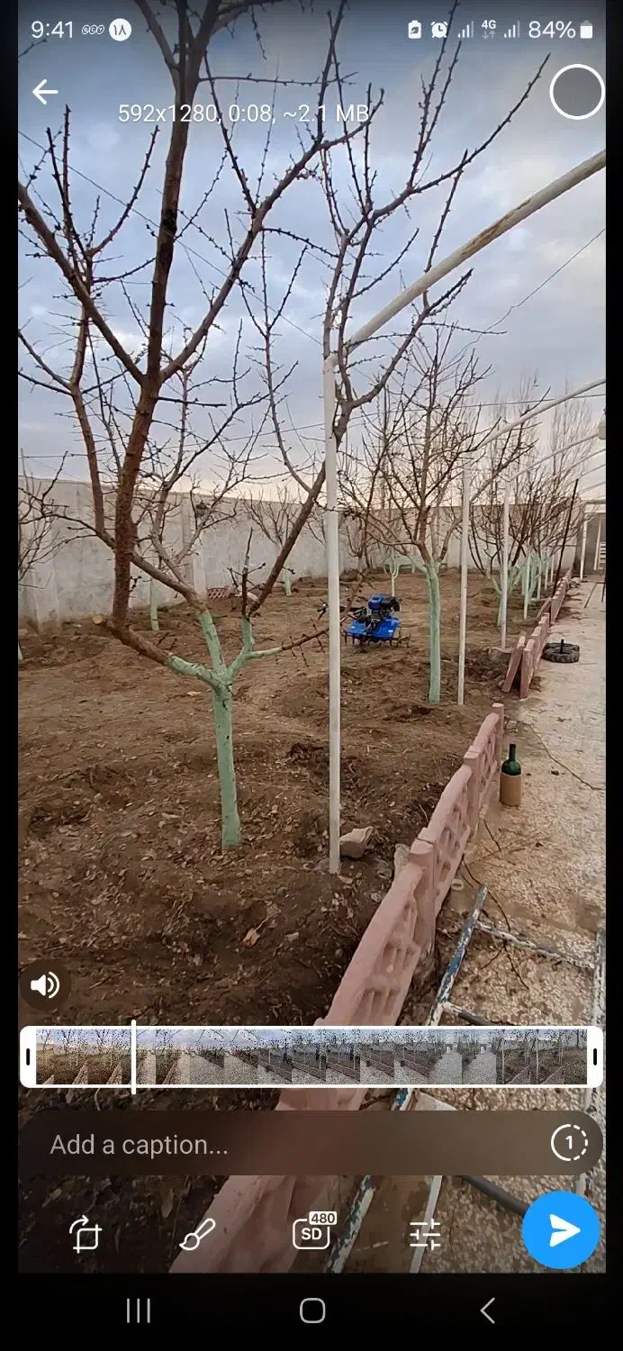 تیلر زنی و سمپاشی حرفه‌ای باغ با قیمت منصفانه|خدمات باغبانی و درختکاری|مشهد, رضاشهر|دیوار