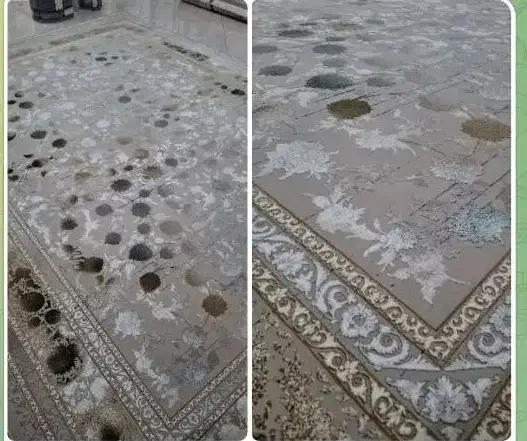 فروش انواع فرش های ماشینی|فرش|کاشمر, |دیوار