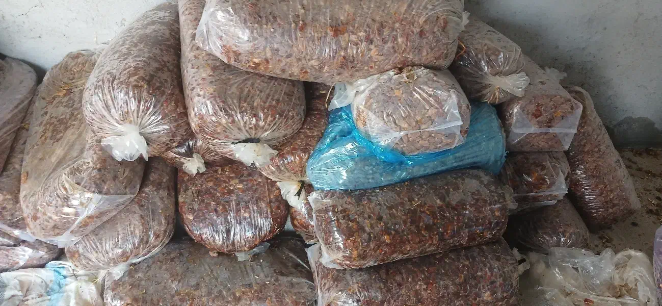 فروش خرما  2تن بار جدید|خوردنی و آشامیدنی|زرین دشت (فارس), |دیوار