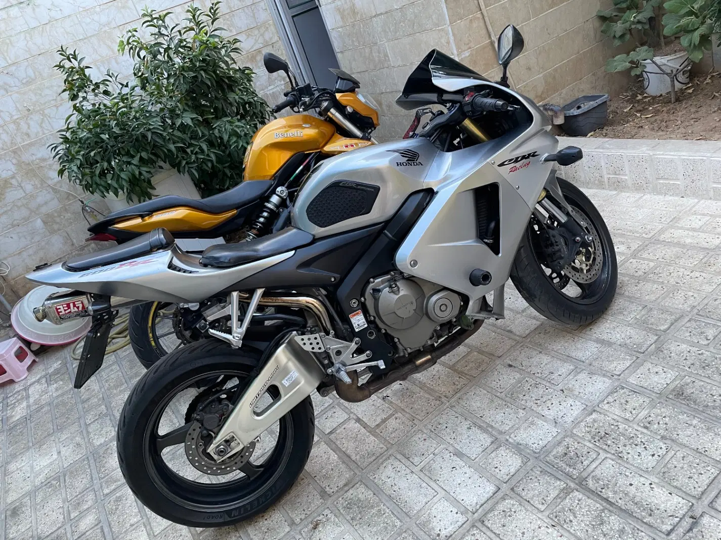 Honda Cbr 600|موتورسیکلت|شیراز, معالی‌آباد|دیوار