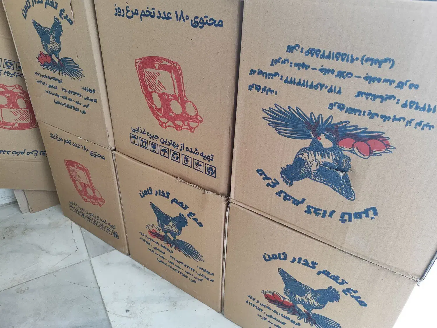 پخش تخم مرغ ثامن|خوردنی و آشامیدنی|مشهد, شهید احمدی روشن|دیوار