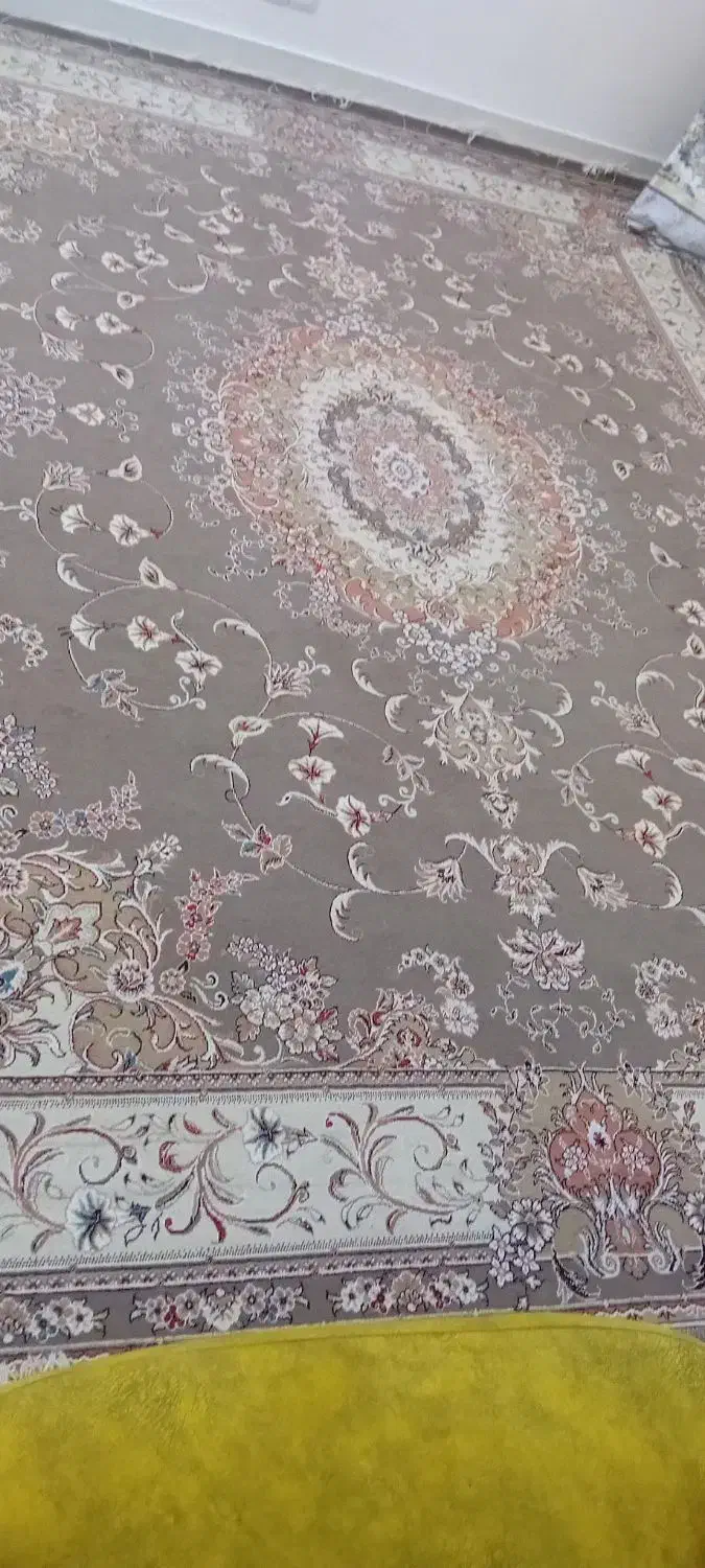 فرش ۱۲ متری|فرش|خرمدره, |دیوار