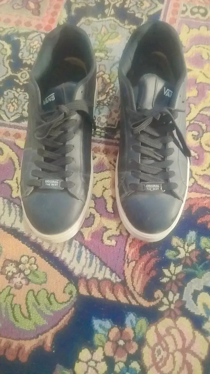 کفش|کیف، کفش، کمربند|زابل, |دیوار