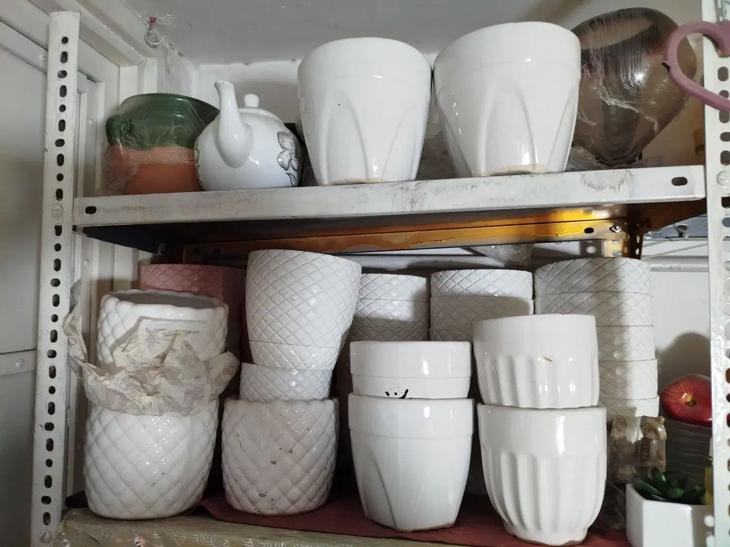 گلدان|گل و گیاه طبیعی|قم, میرزائیه|دیوار