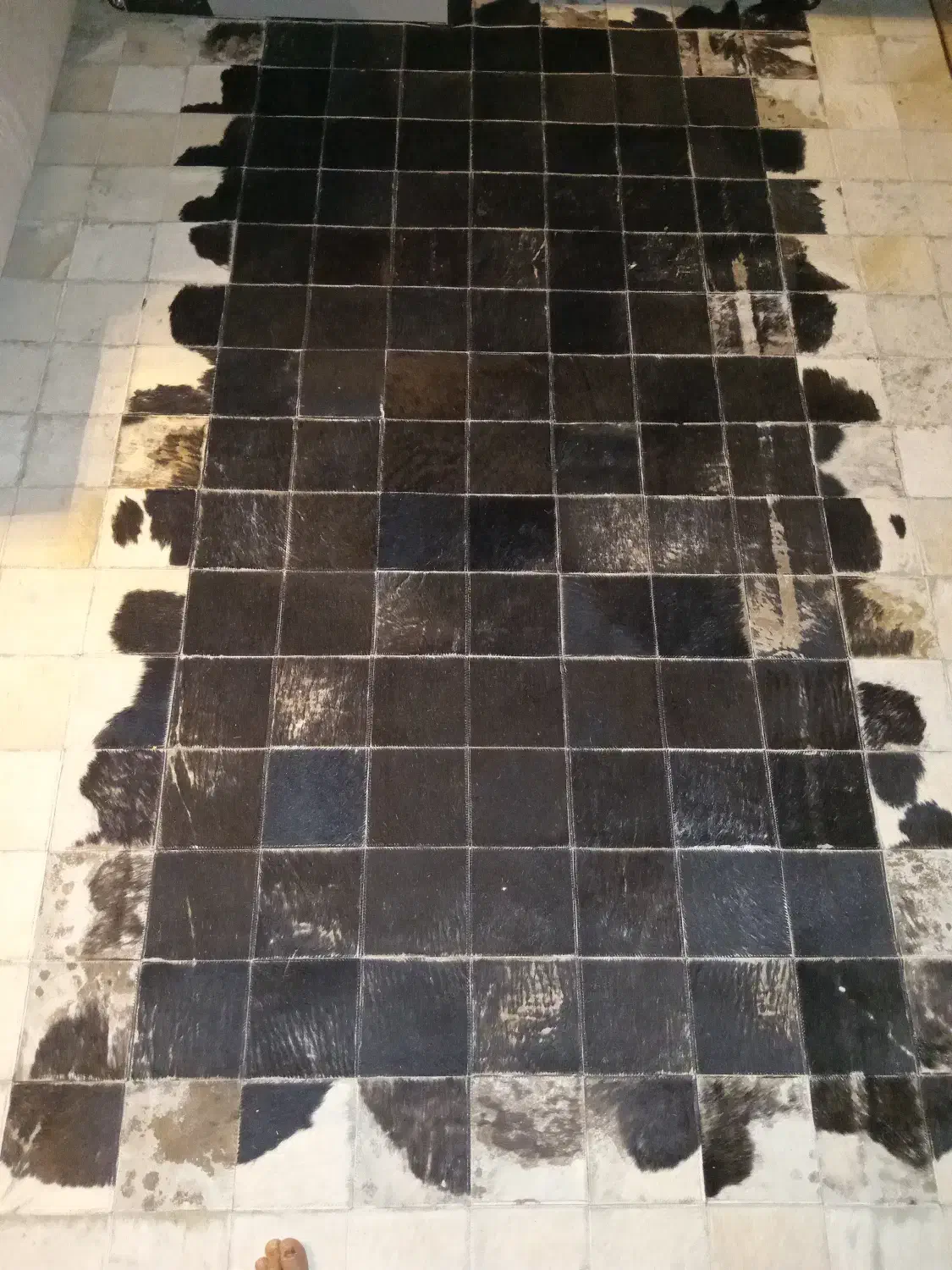 فرش ماشینی و فرش پوست گاو|فرش|تهران, استخر|دیوار