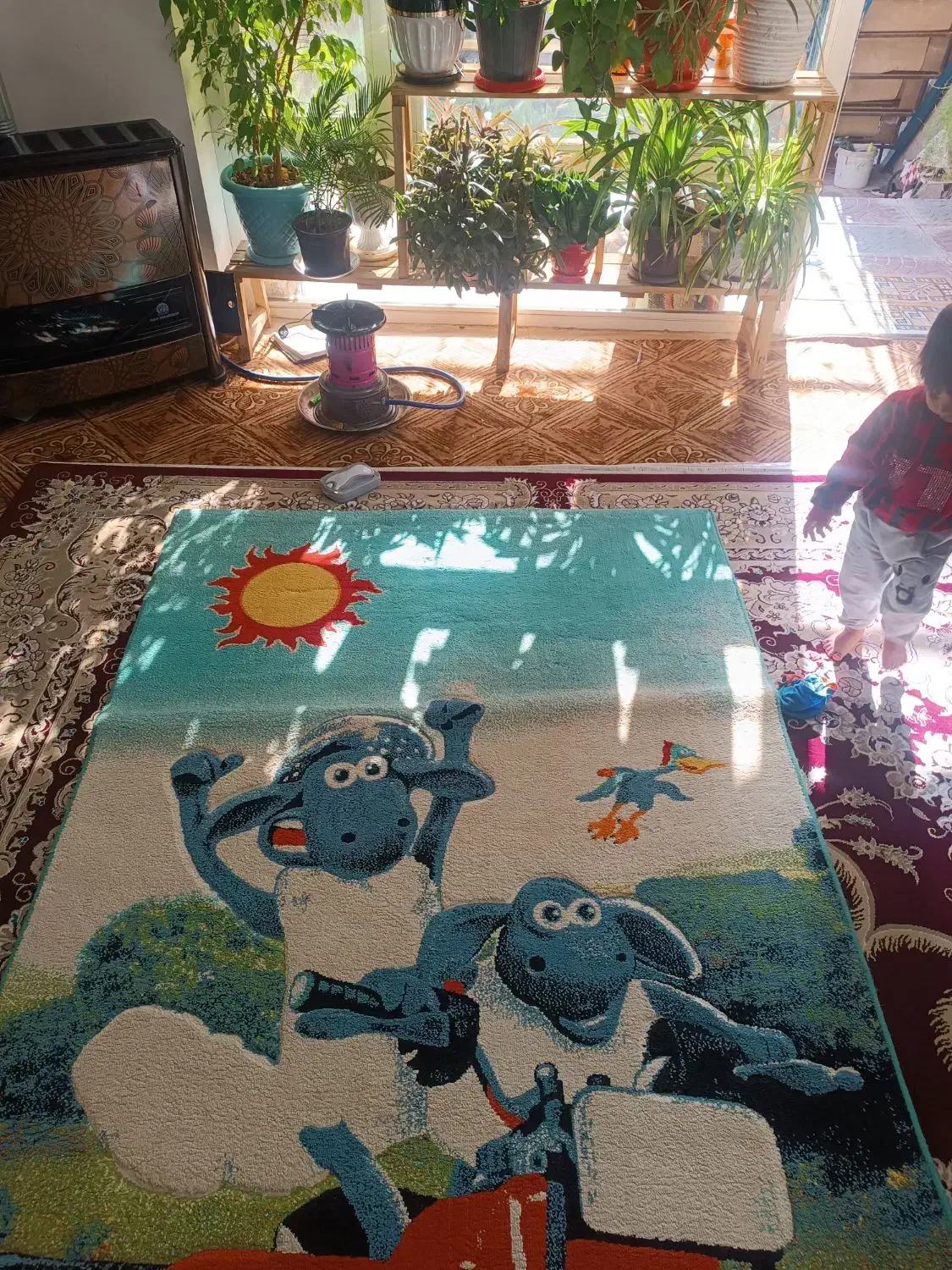 فرش کودک|فرش|قوچان, |دیوار