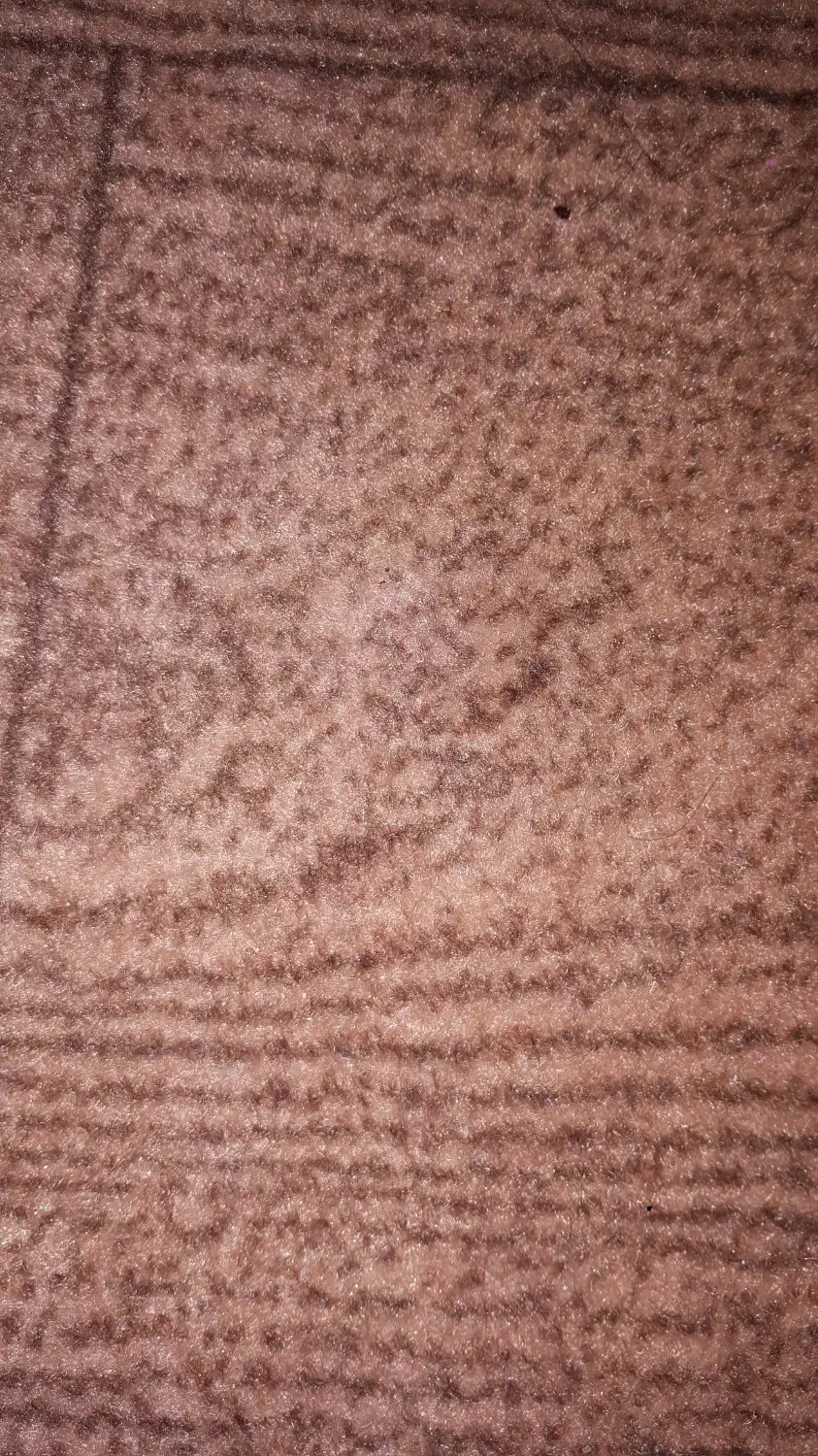 قطعه طلای پیدا شده|اشیا|ملایر, |دیوار