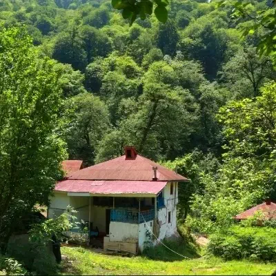 1600مترخانه محوطه سنتی پلاک 1 جنگل در دل بهشت|فروش خانه و ویلا|فومن, |دیوار