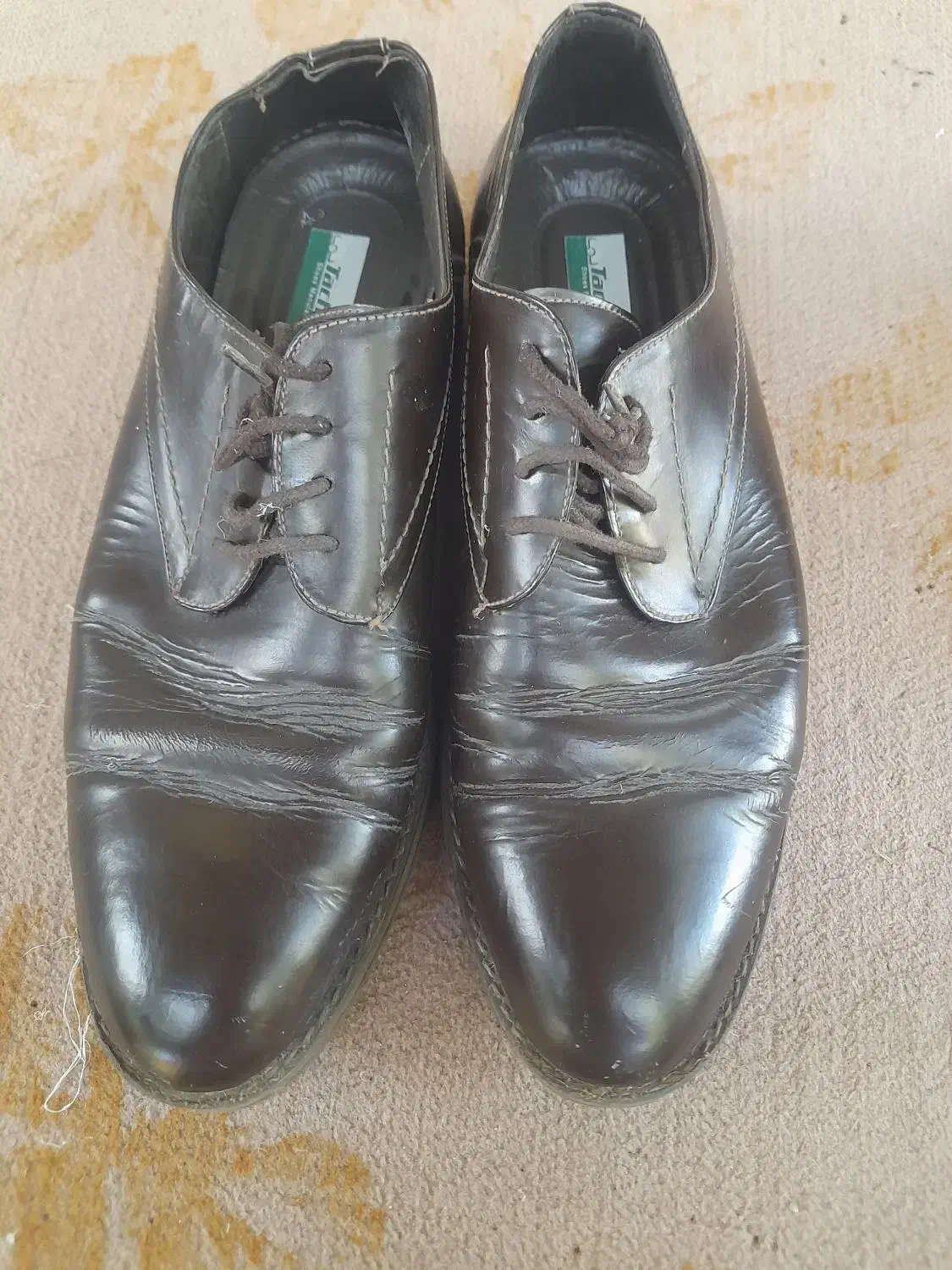 کفش مجلسی اورجینال|کیف، کفش، کمربند|مینودشت, |دیوار