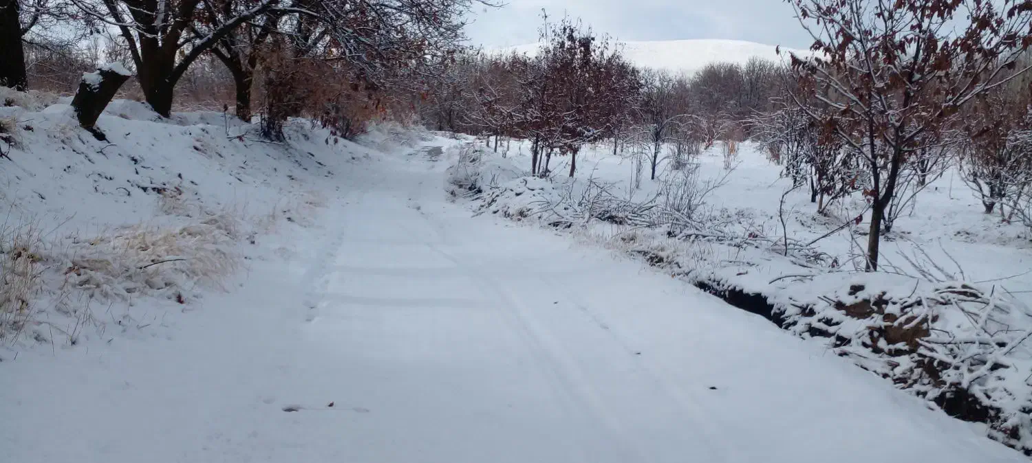 کارت عابر و مقداری پول پیدا کردم|اشیا|نهاوند, |دیوار