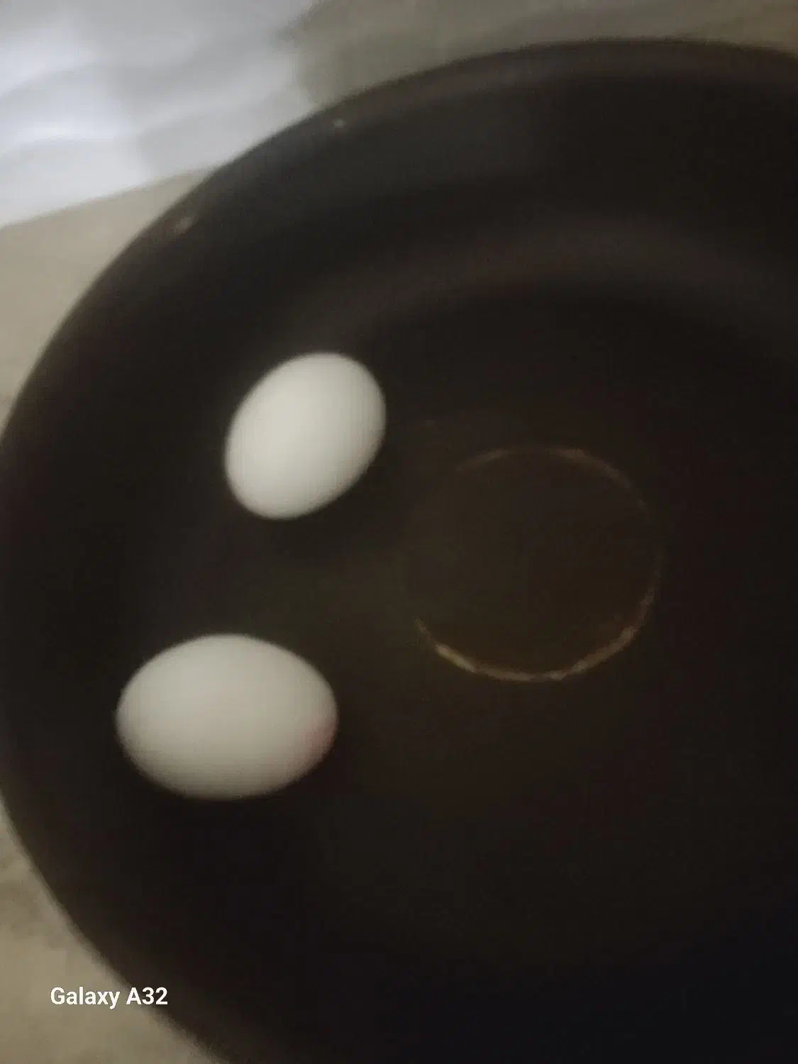 آشپزی|فعالیت داوطلبانه|مشهد, آزادشهر|دیوار