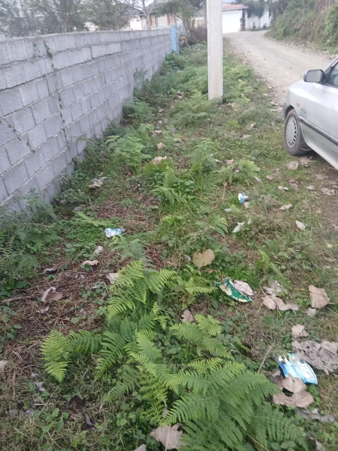 زمین ۱۹۰ متری مسکونی|فروش زمین و ملک کلنگی|تالش, طولارود|دیوار