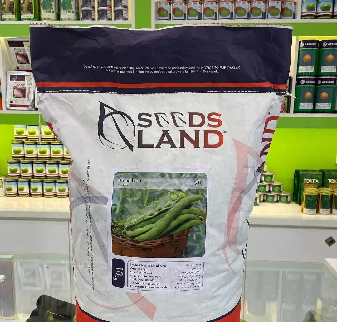 بذر سبزیجات بذر تره بذر یونجه بذر شوید بذر باقالا|گل و گیاه طبیعی|اصفهان, سلطانآباد|دیوار