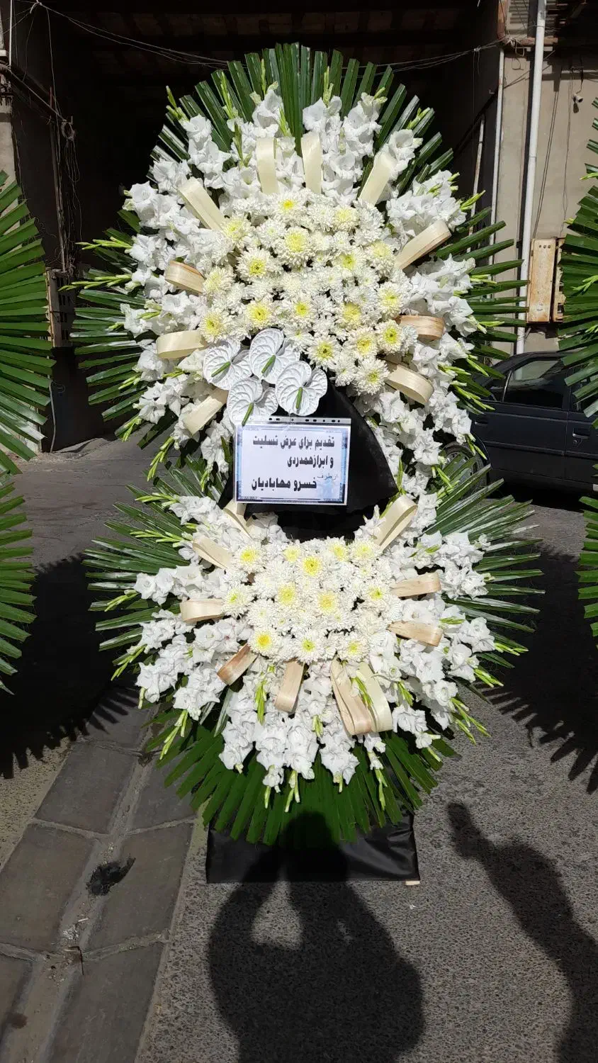 گل گیاه|گل و گیاه طبیعی|تهران, حر|دیوار