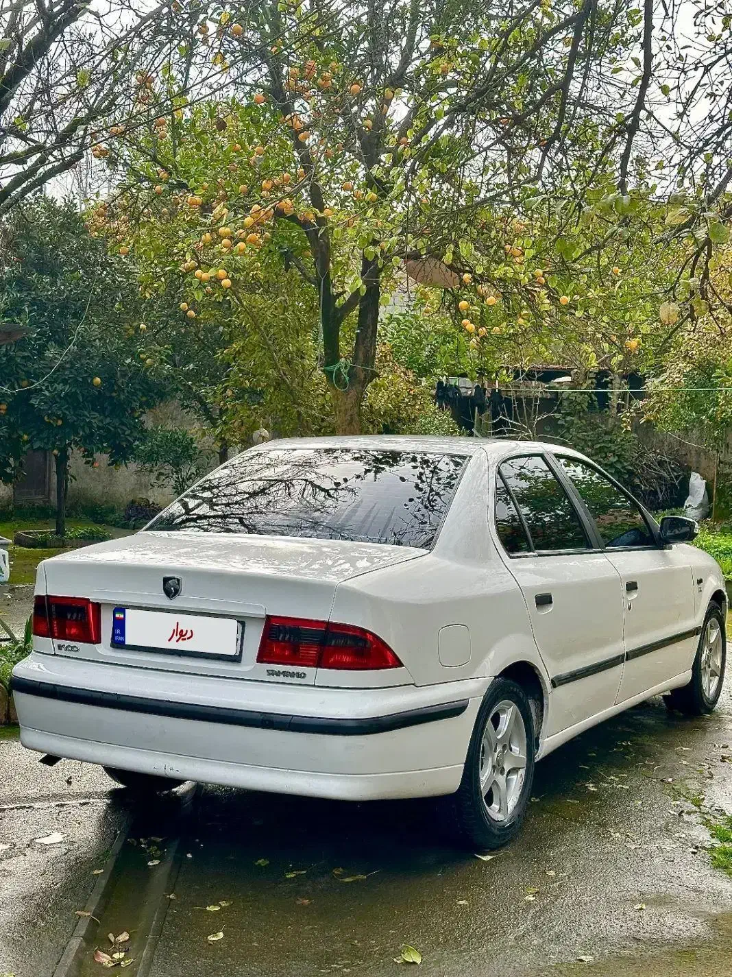 سمند lx دوگانه بیرنگ|خودرو سواری و وانت|آستارا, |دیوار