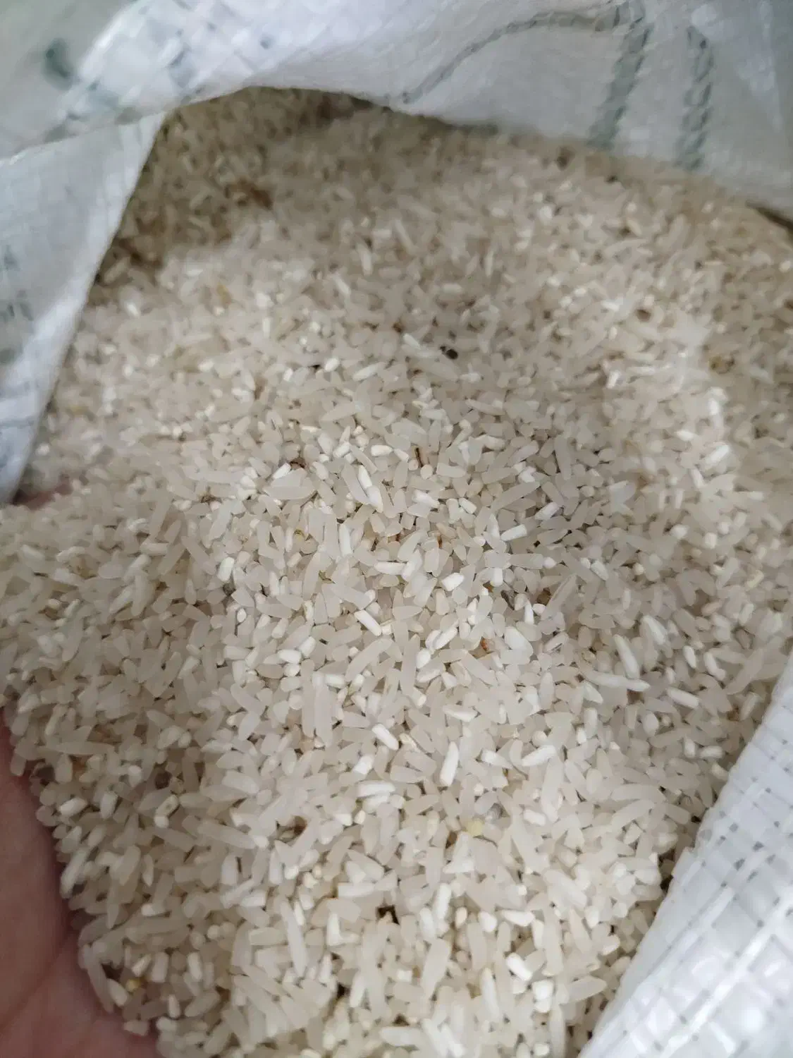 برنج لاشه فجر|خوردنی و آشامیدنی|بندر ترکمن, |دیوار