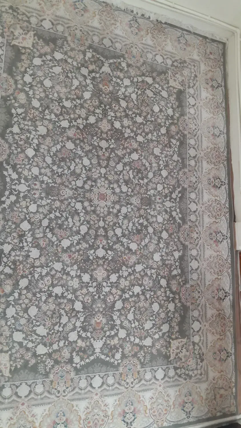 فرش|فرش|ری, صفاییه (چشمه علی)|دیوار