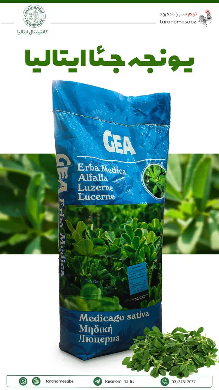 بذر یونجه جئا ایتالیایی|خدمات باغبانی و درختکاری|عنبرآباد, |دیوار