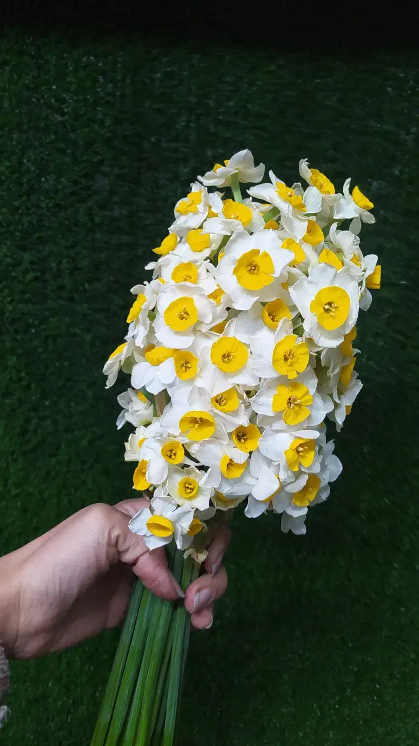 گلدان گل نرگس|گل مصنوعی|صفادشت, |دیوار