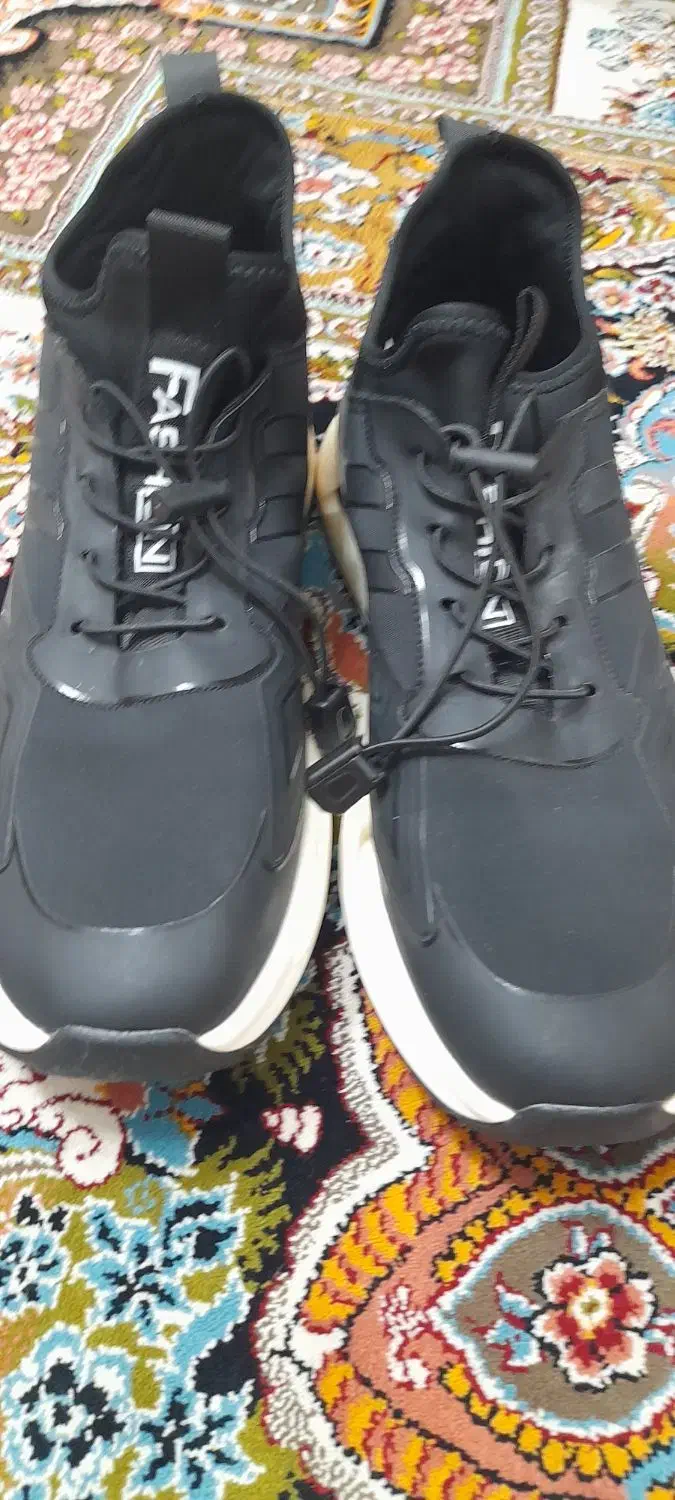 کفش نو|کیف، کفش، کمربند|یزد, |دیوار