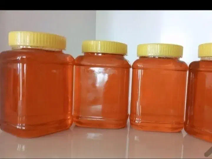 قیمت 1میلیون به شرط|عمده‌فروشی|بیله سوار, |دیوار