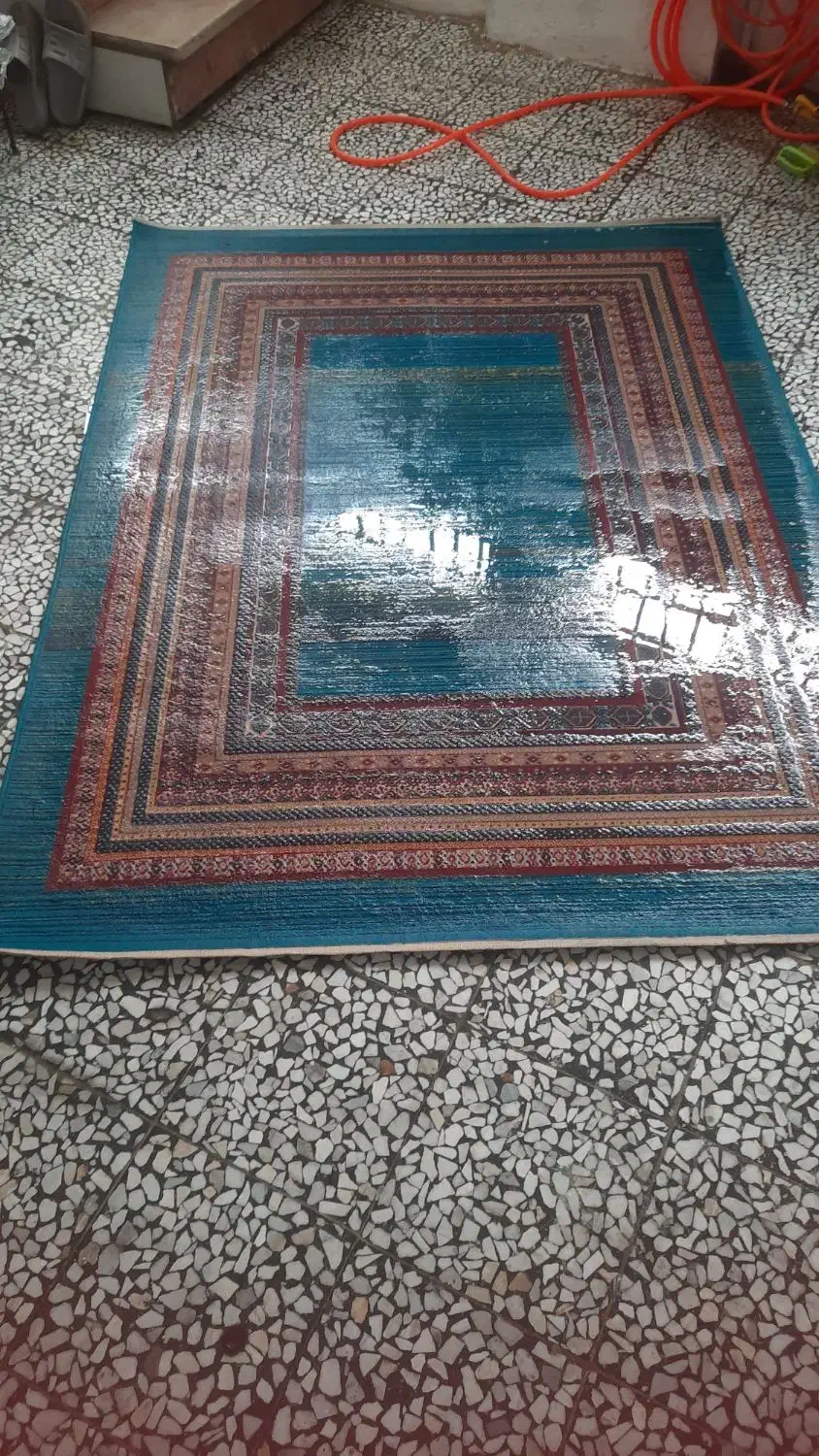 فروش فرش|فرش|آمل, |دیوار