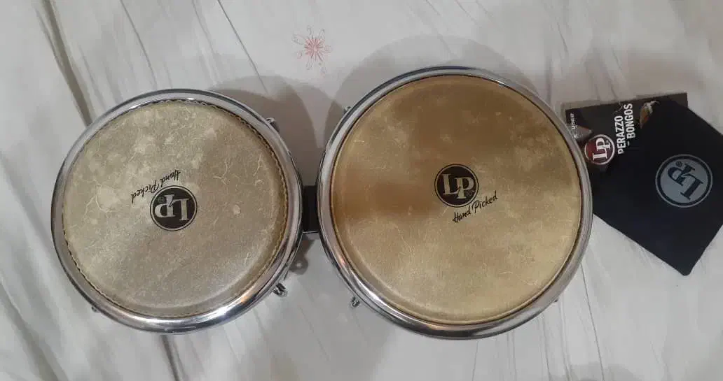 بانگو LP حرفه ای|درام و پرکاشن|اصفهان, بهارستان|دیوار