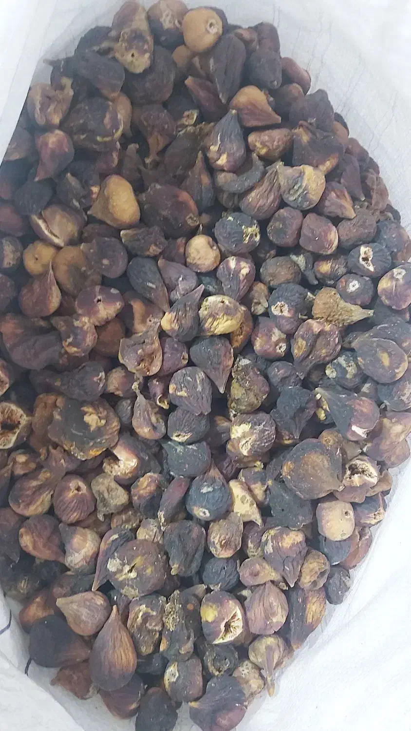 انجیر  سایز دار|خوردنی و آشامیدنی|شیراز, بازار|دیوار