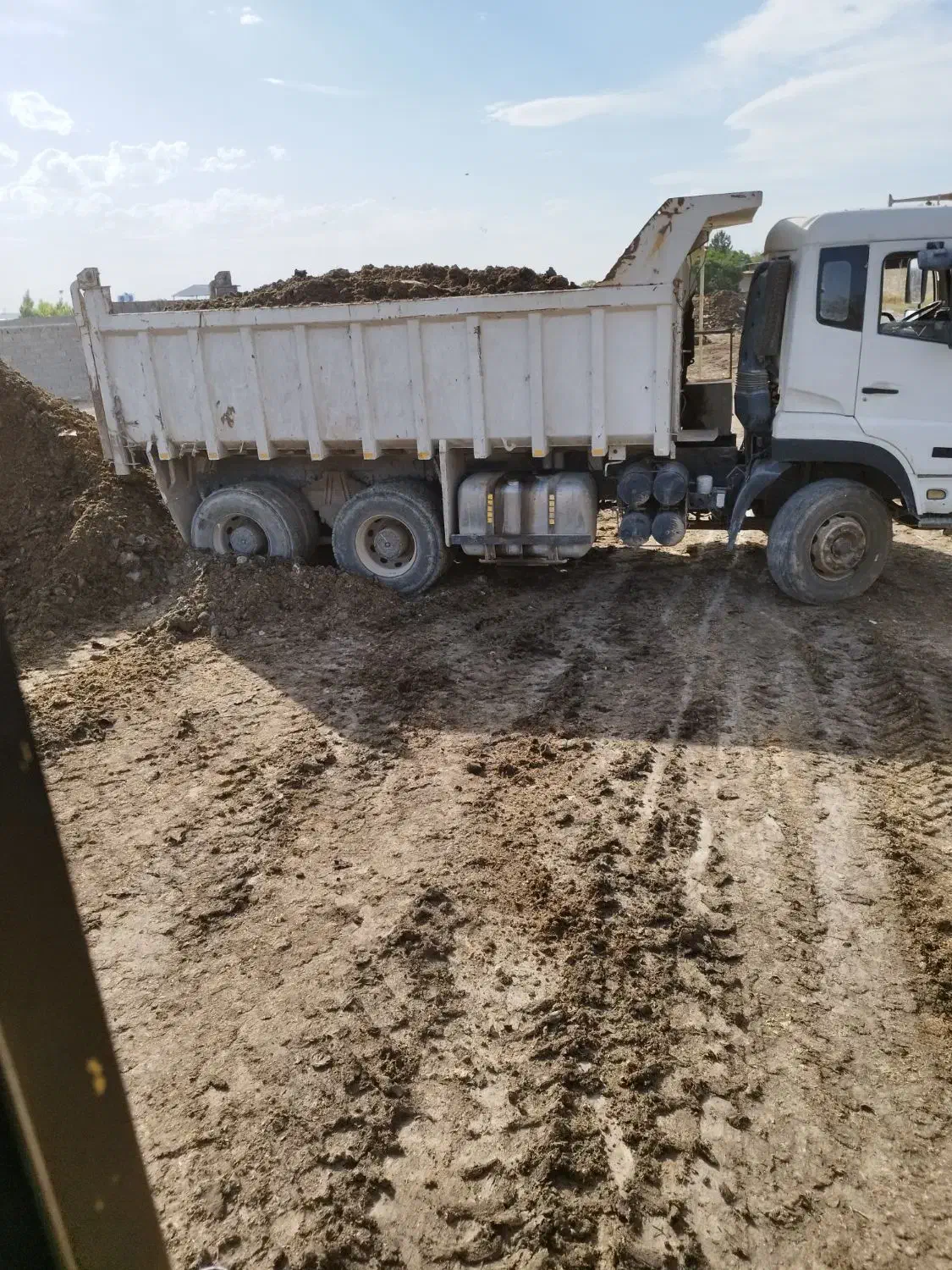 کود دامی حیوانی پوسیده باغچه باغ|خدمات باغبانی و درختکاری|رباط‌کریم, رباط‌کریم|دیوار