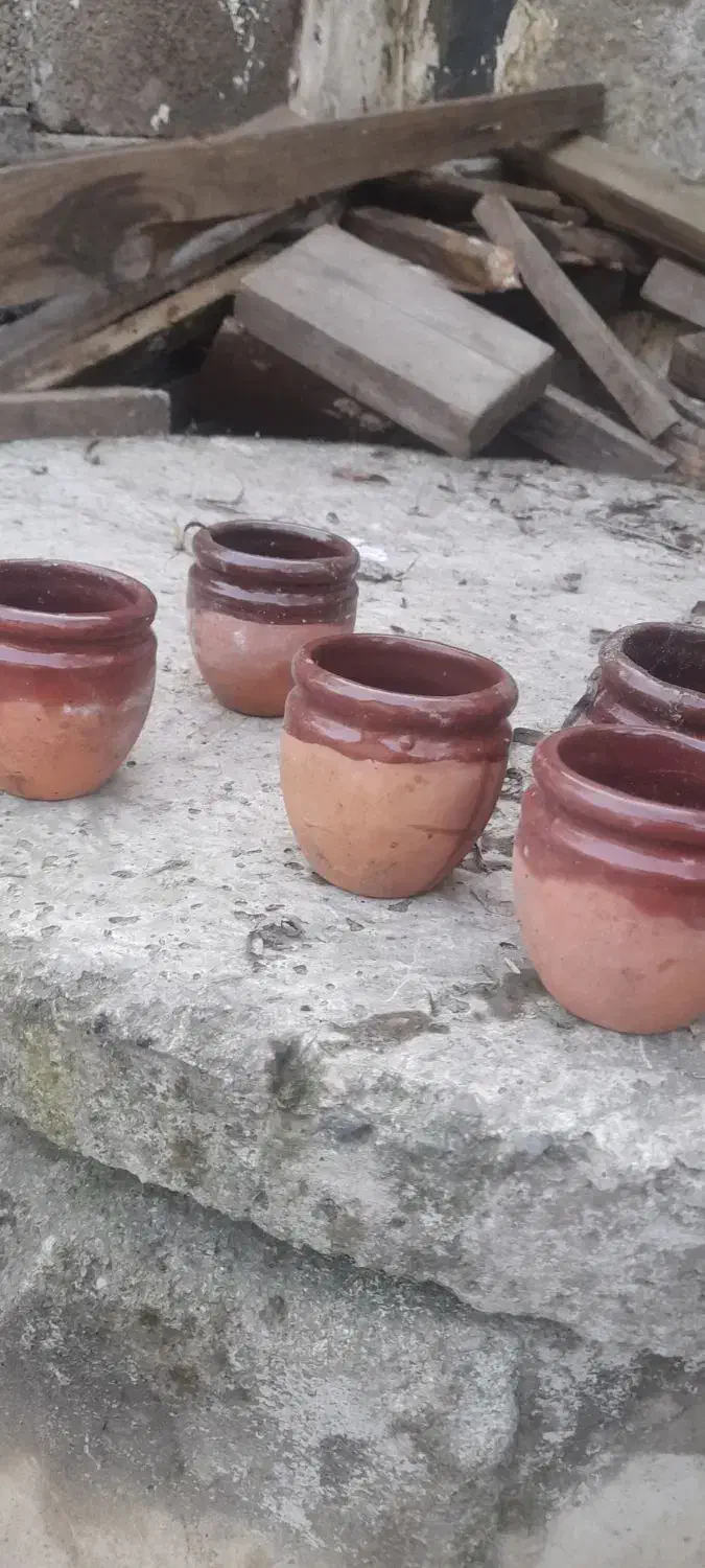 گلدونی کوچیک مخصوص کاکتوس|گل و گیاه طبیعی|احمدسرگوراب, |دیوار