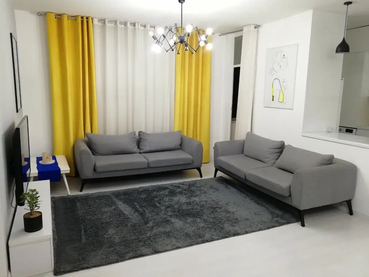 2 عددشگی فرش طوسی شش 6 و چهار 4 متری|فرش|شیراز, ملاصدرا|دیوار