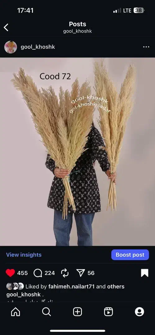 پامپاس گل خشک شب چله زیر قیمت بازار گل|گل مصنوعی|مشهد, امیر|دیوار