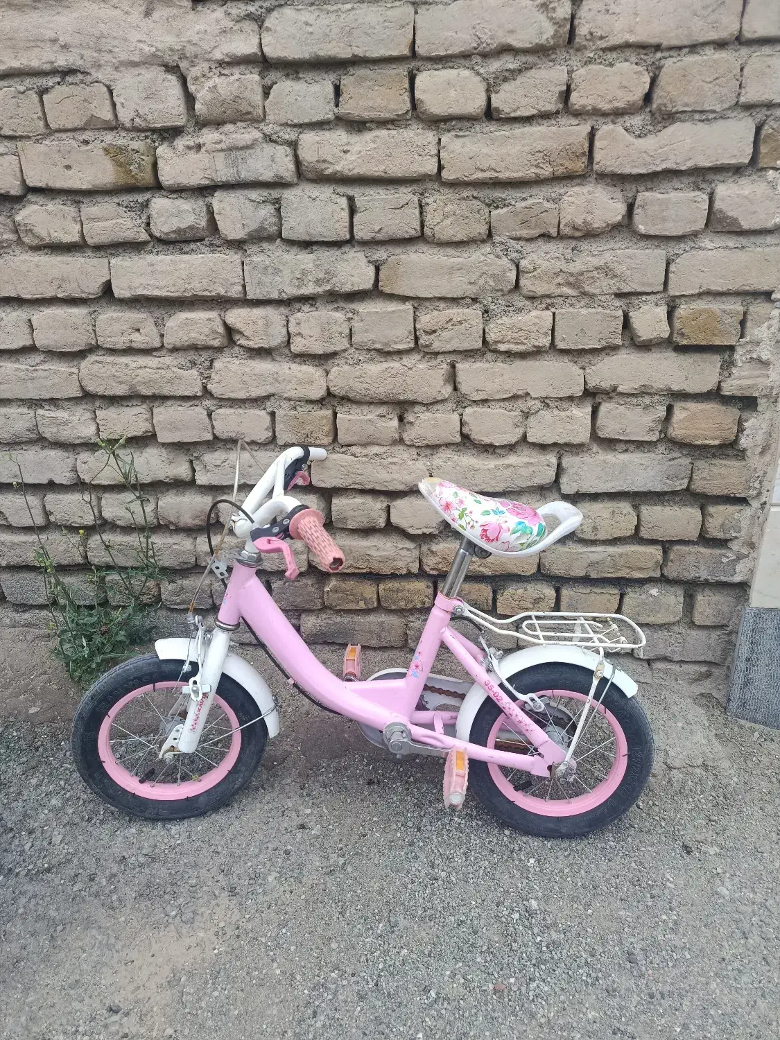 دوچرخه سالم|دوچرخه، اسکیت، اسکوتر|تربتحیدریه, شهرک ولیعصر|دیوار