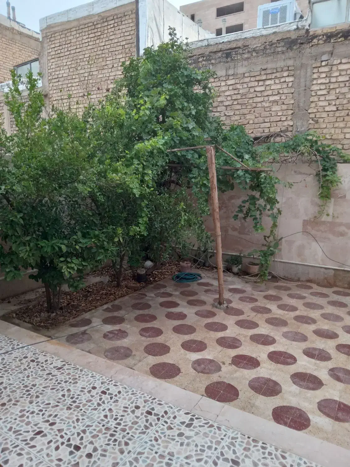 اجاره ویلایی همکف دوخواب بزرگ دلباز|اجارهٔ خانه و ویلا|شیراز, میانرود|دیوار