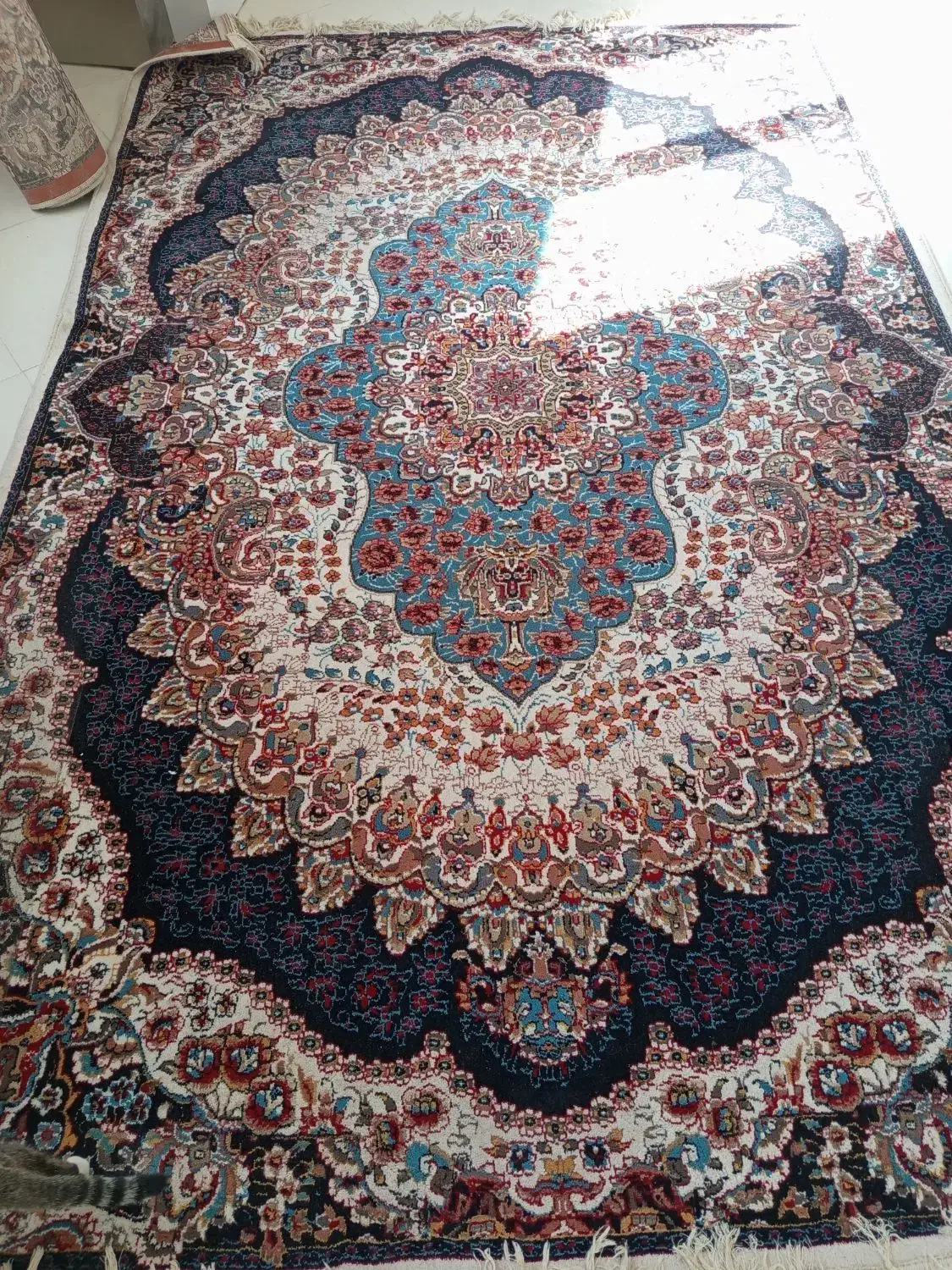 یک جفت فرش 6 متری|فرش|زاهدان, |دیوار