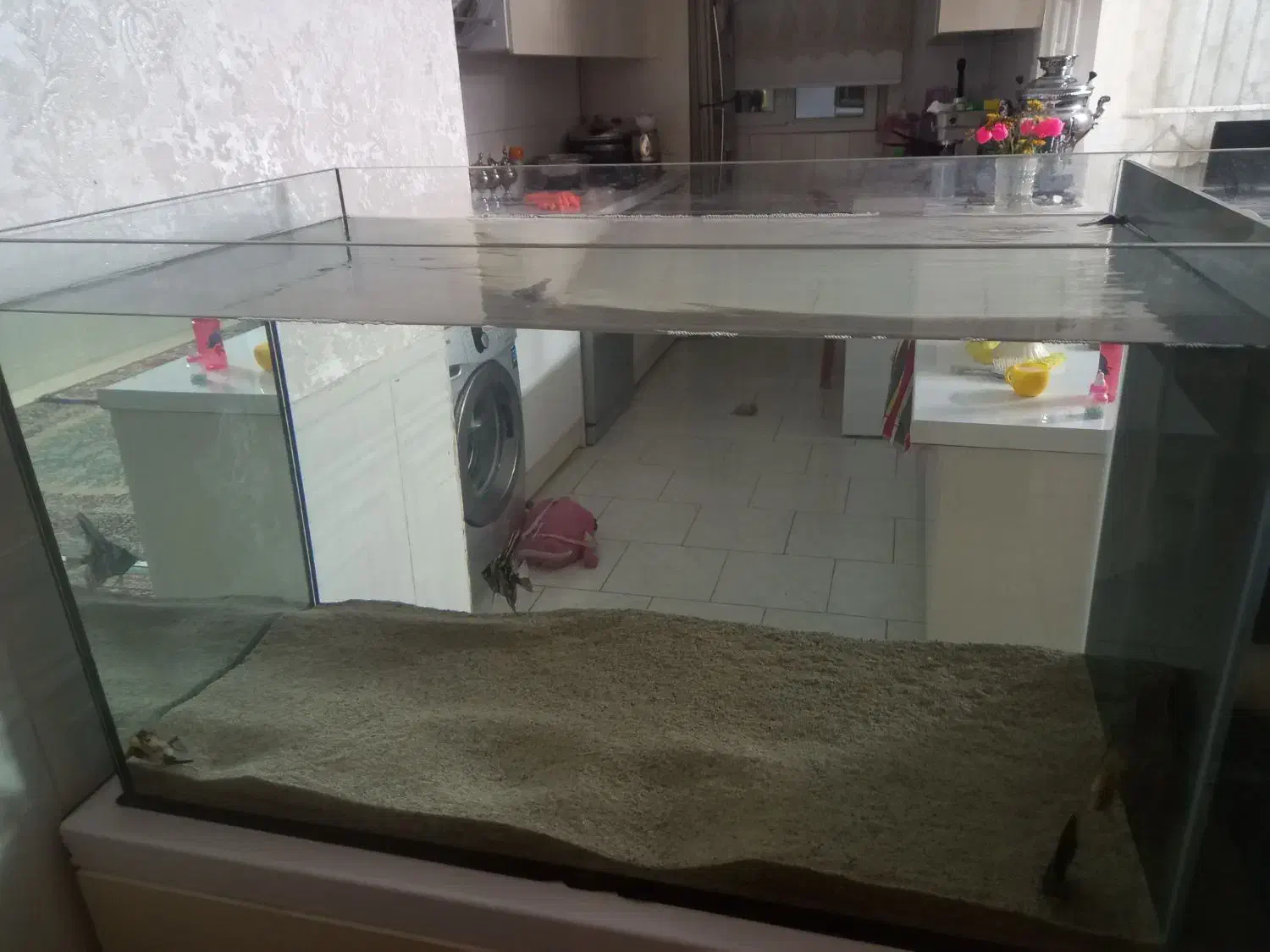 یک عدد آکواریم با سامپ بغل|ماهی|ورامین, ورامین|دیوار