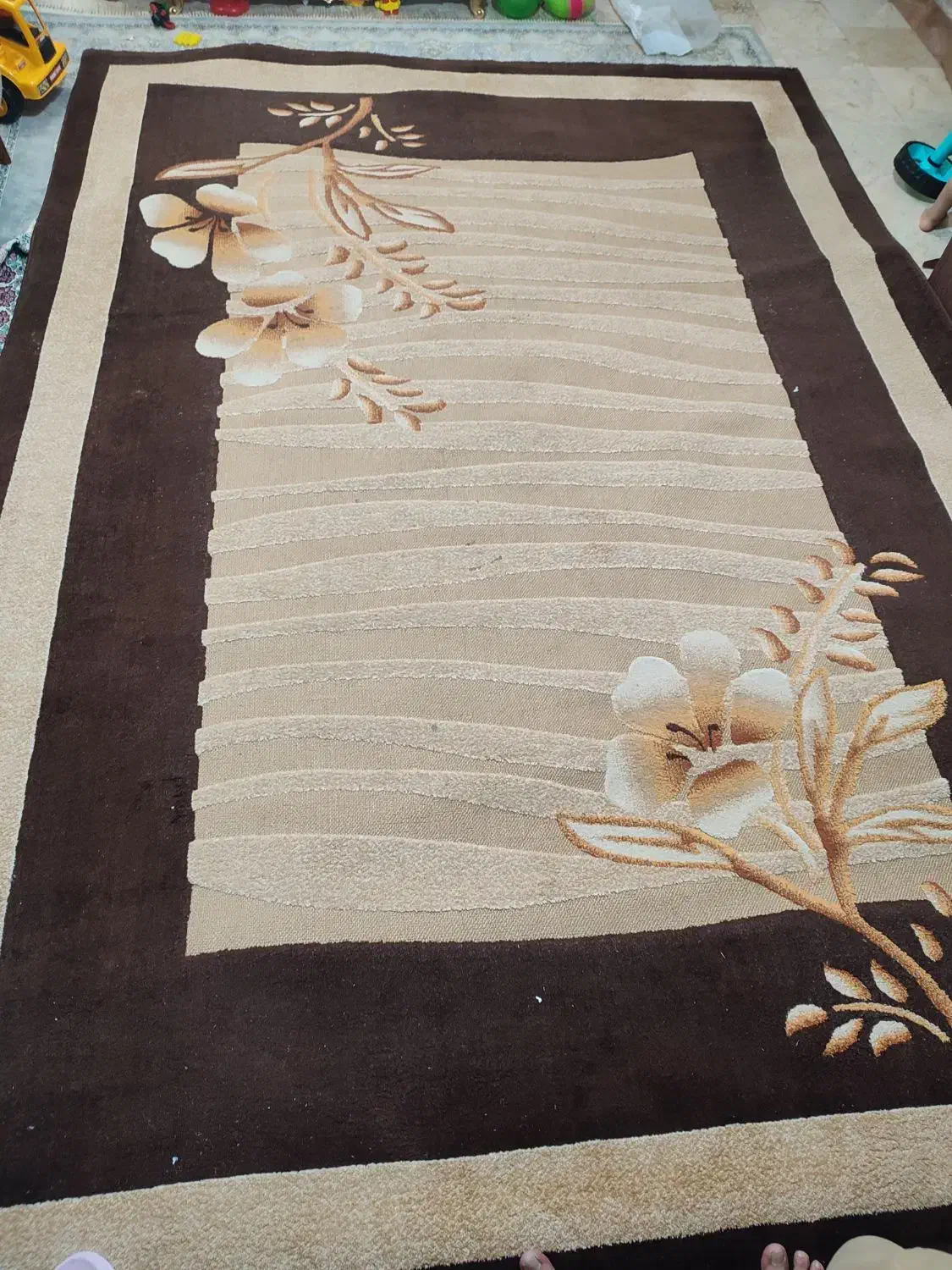 دو عدد گلیم ۹ و ۷ متری|گلیم، جاجیم، گبه|یزد, |دیوار