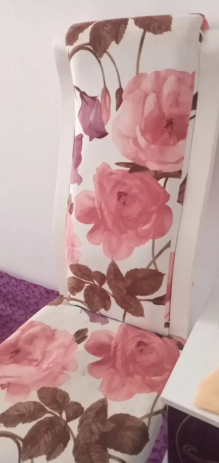 صندلی|میز و صندلی غذاخوری|بندرعباس, |دیوار