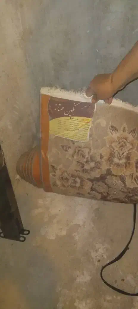 فرش|فرش|پردیس, فاز ۳|دیوار