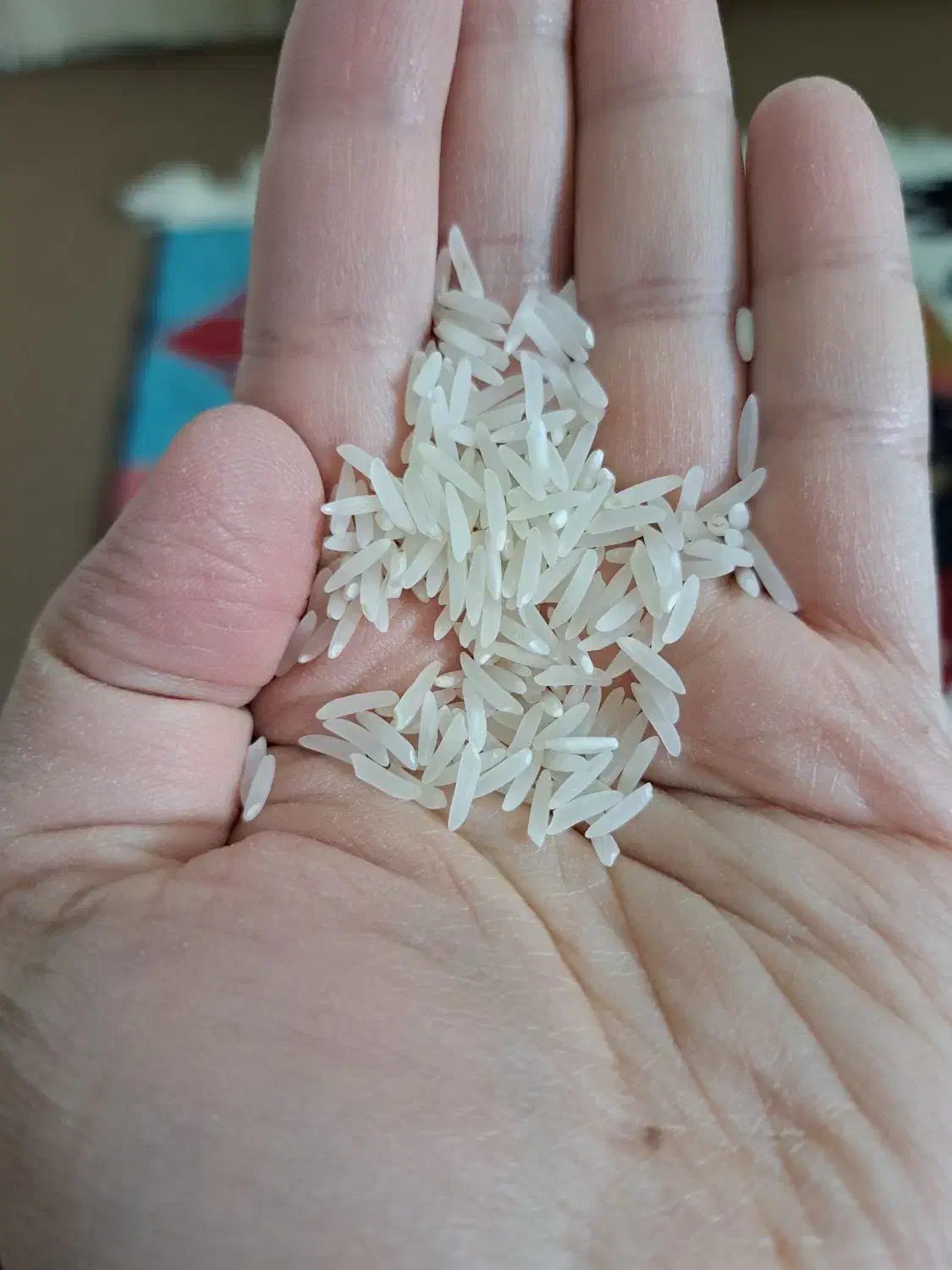 برنج فجر کشت اول|خوردنی و آشامیدنی|آمل, |دیوار