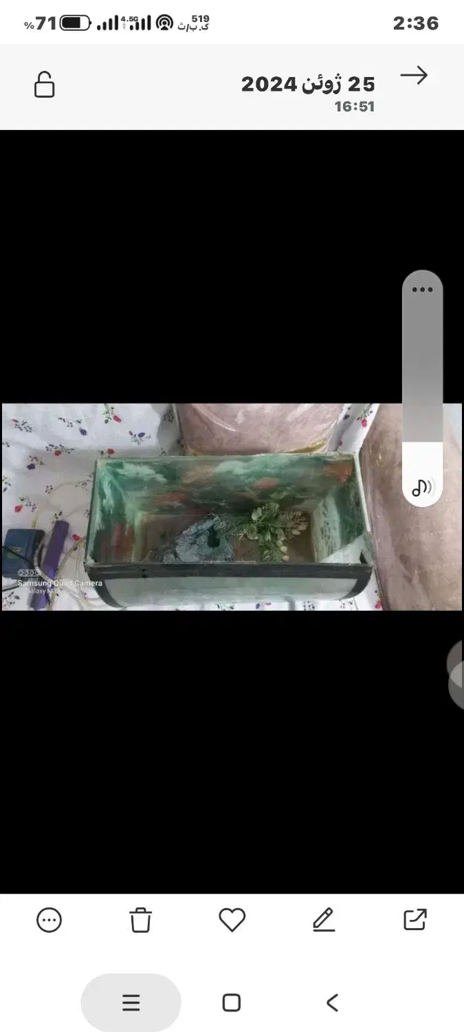 آکواریوم منحنی|ماهی|مشهد, کوی دروی|دیوار