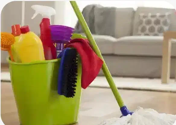 نظافت منزل|خدمات نظافت|گنبد کاووس, |دیوار