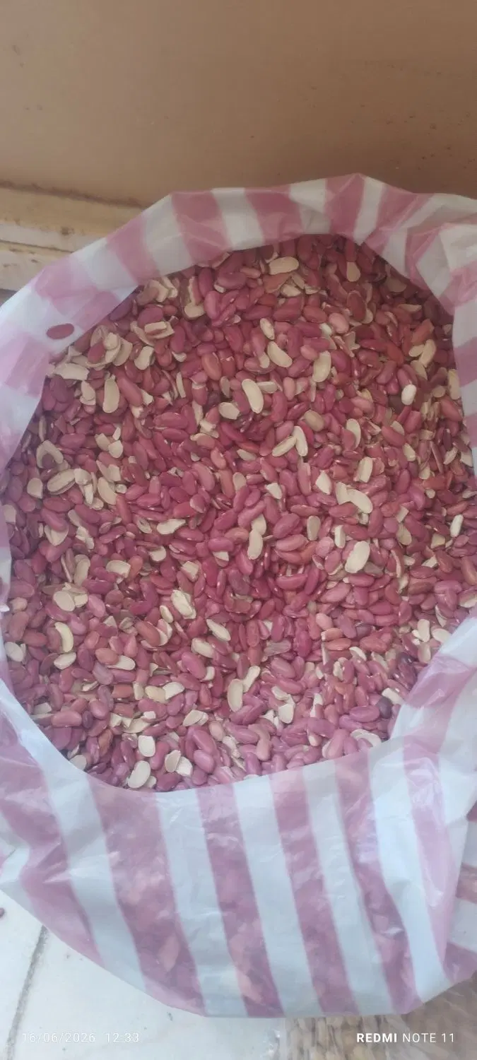 لوبیا|خوردنی و آشامیدنی|اراک, |دیوار