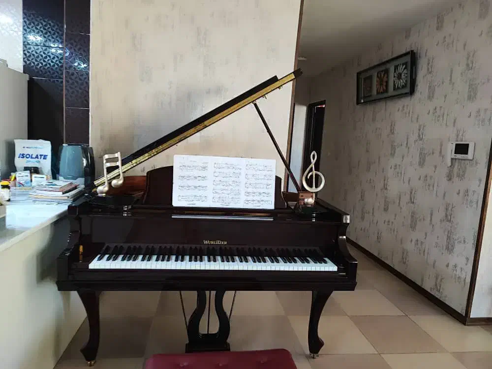 پیانو گرند|پیانو، کیبورد، آکاردئون|شیراز, شهرک مفتح|دیوار