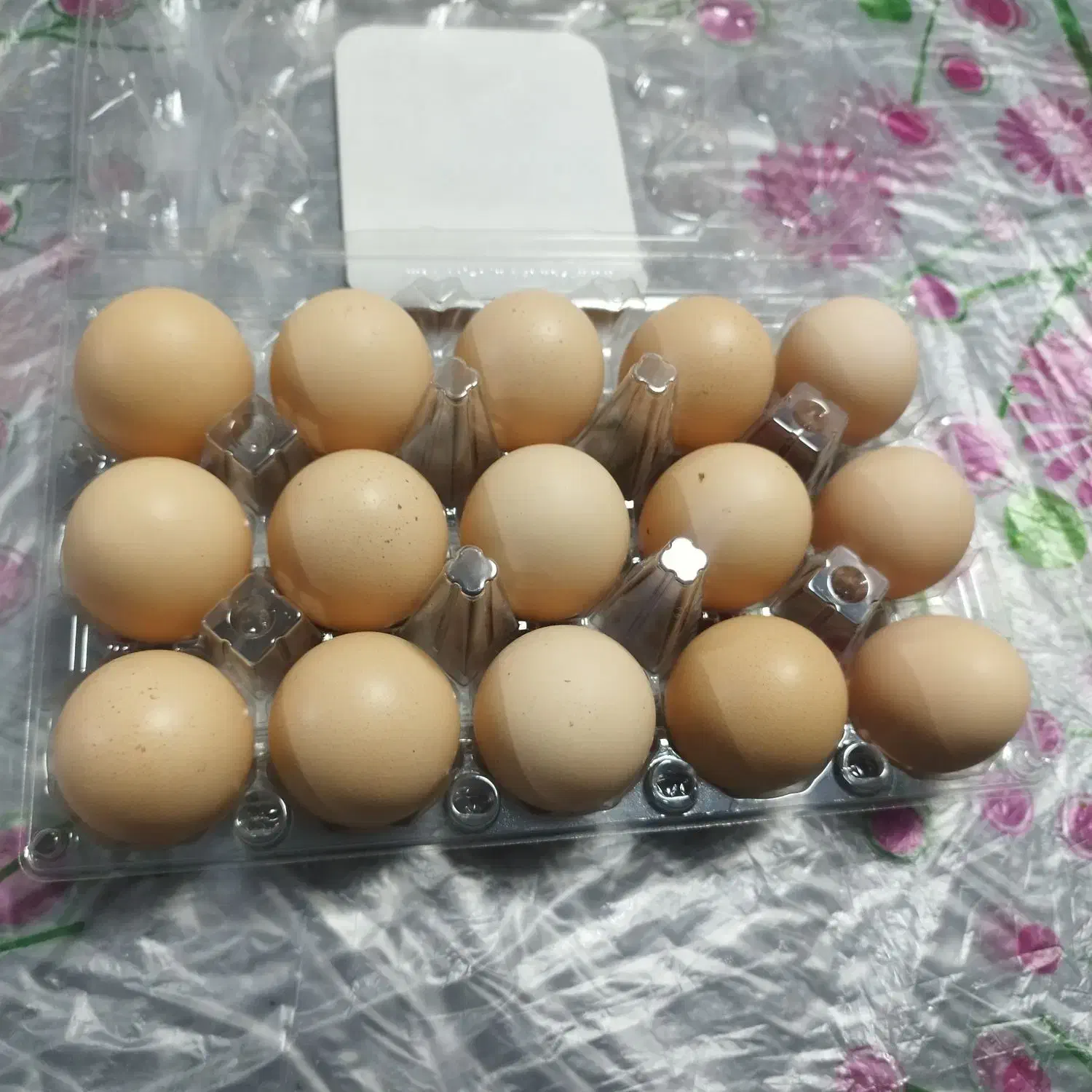 تخم مرغ محلی|خوردنی و آشامیدنی|شیراز, لاله|دیوار