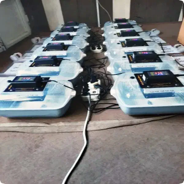 00 پیشرفته با ضمانت دستگاه جوجه کشی|لوازم جانبی حیوانات|بیرجند, |دیوار