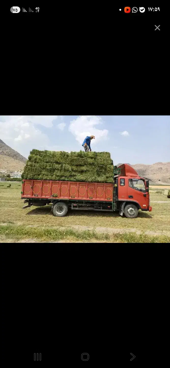 بیده خشک  فروشی|لوازم نظافت|جوین, |دیوار